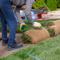 Building A Greener Future: Northern Virginia Lawn Companies Share Their Favorite Sustainable Landscaping Products