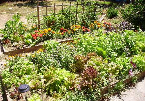 Packing Up And Planting Green: Sustainable Landscaping Products For Cross-Country Movers In Northern VA